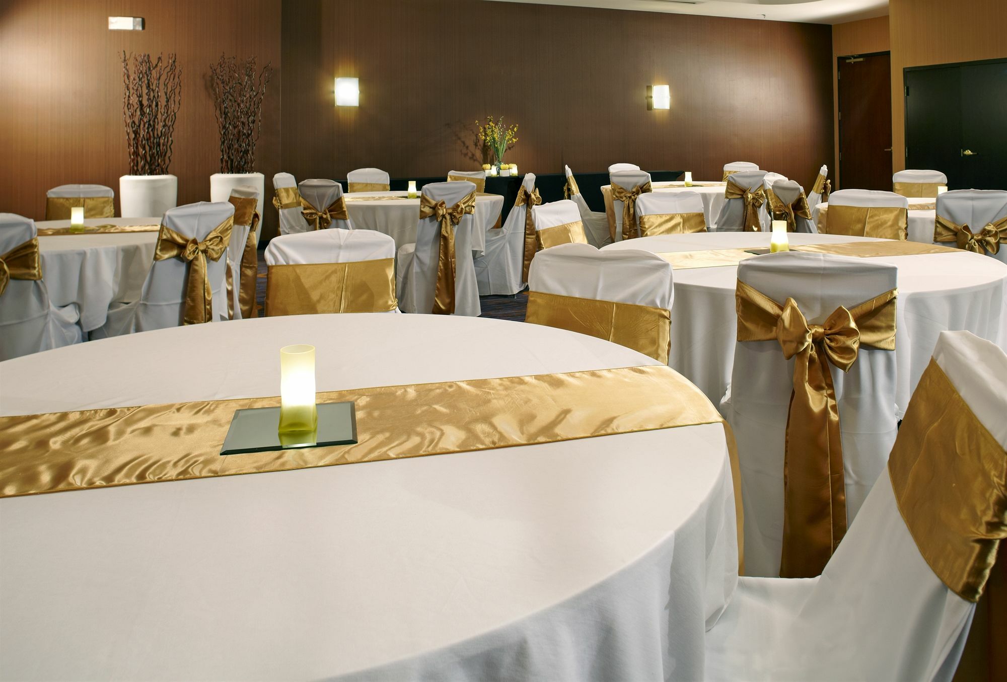 Courtyard Tampa Oldsmar Ξενοδοχείο Εξωτερικό φωτογραφία