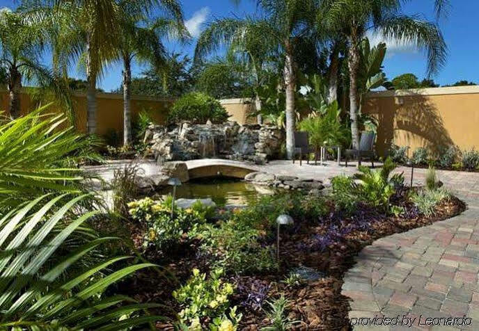 Courtyard Tampa Oldsmar Ξενοδοχείο Εξωτερικό φωτογραφία
