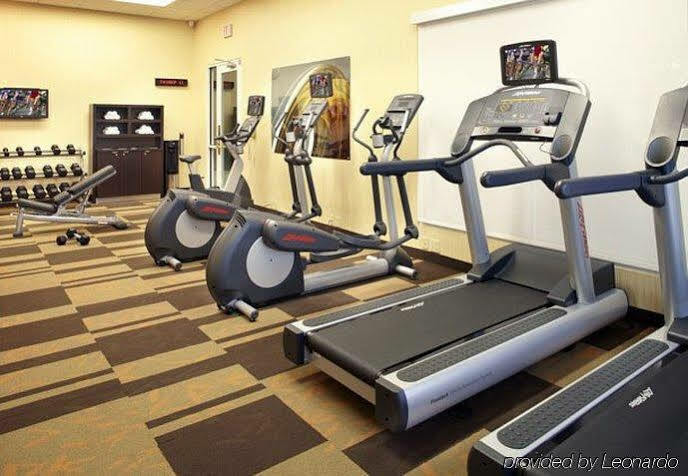 Courtyard Tampa Oldsmar Ξενοδοχείο Εξωτερικό φωτογραφία